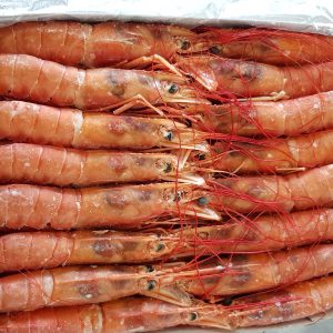 L1 Prawns