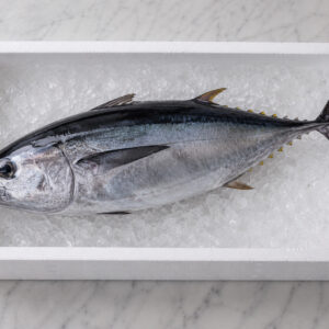 Tuna Fresh whole