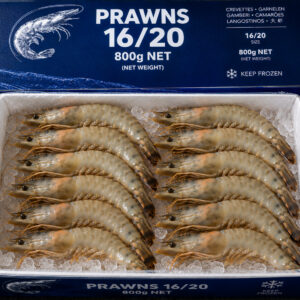 Prawns 16 / 20 (800g Block)
